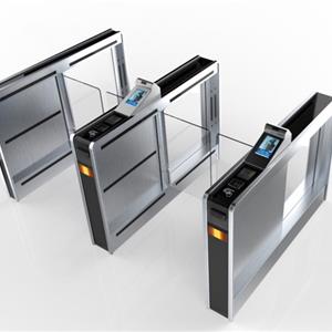 Site face recognition system